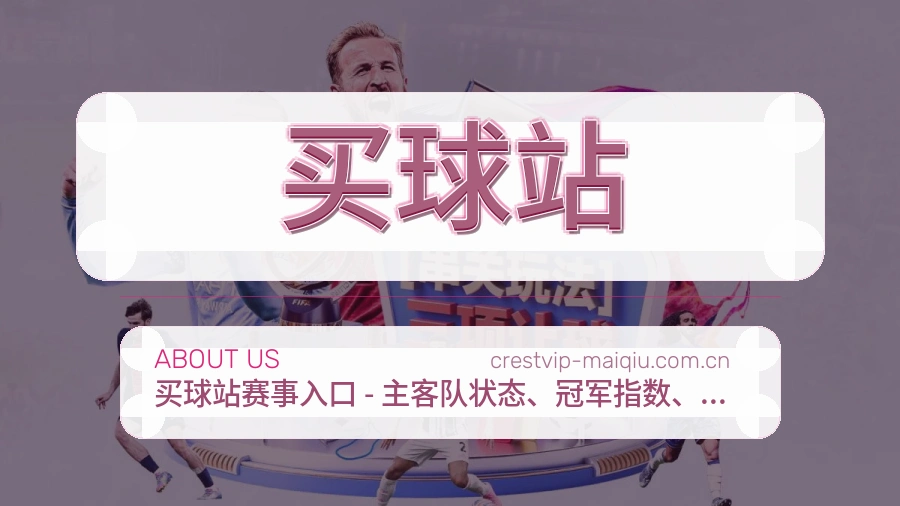 买球站关于我们